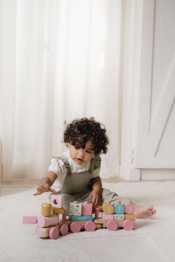 Stacking Train - Fairy Garden FSC